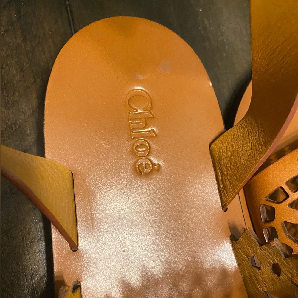 NEW Chloe Kelby Laser Flat Ankle Strap Sandal 37 7 - Picture 4 of 9